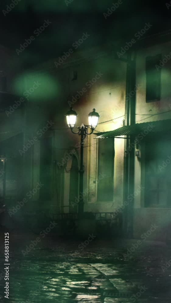 Ghost girl on abandon old house vertical video Ghost girl on abandon old house vertical video