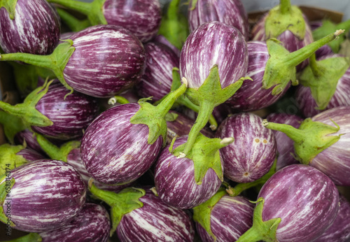 close up on fresh eggplant in heap