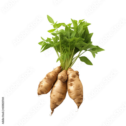 fresh jerusalem artichoke isolated on white background, ai generated