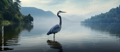 Photographie Digital artwork of a Vietnam lake and heron captures the essence of travel s vas