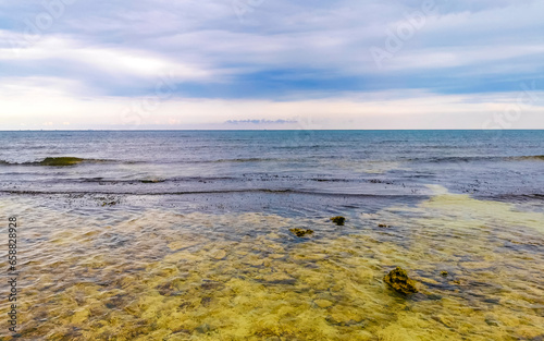 Stones rocks corals turquoise green blue water on beach Mexico. © arkadijschell