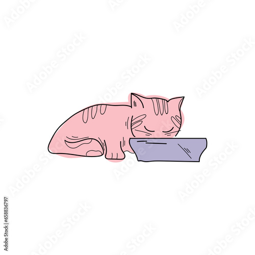 Cute cat eating food from bowl on white background
