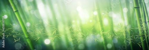 green bamboo forest background with lots of bokeh and blur © W&S Stock