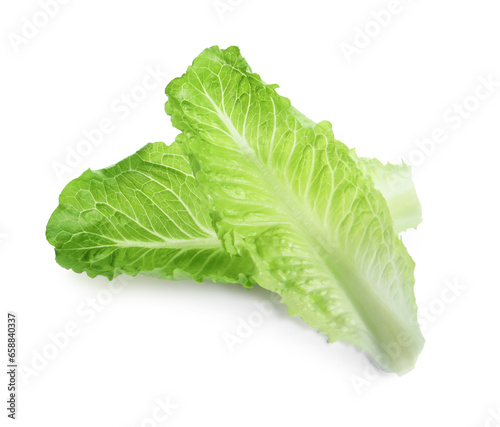 Fresh green leaves of romaine lettuce isolated on white