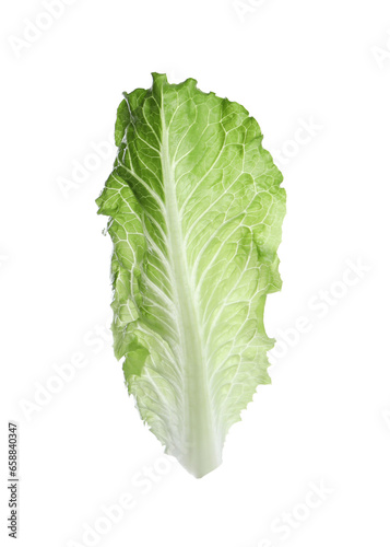 Fresh leaf of green romaine lettuce isolated on white