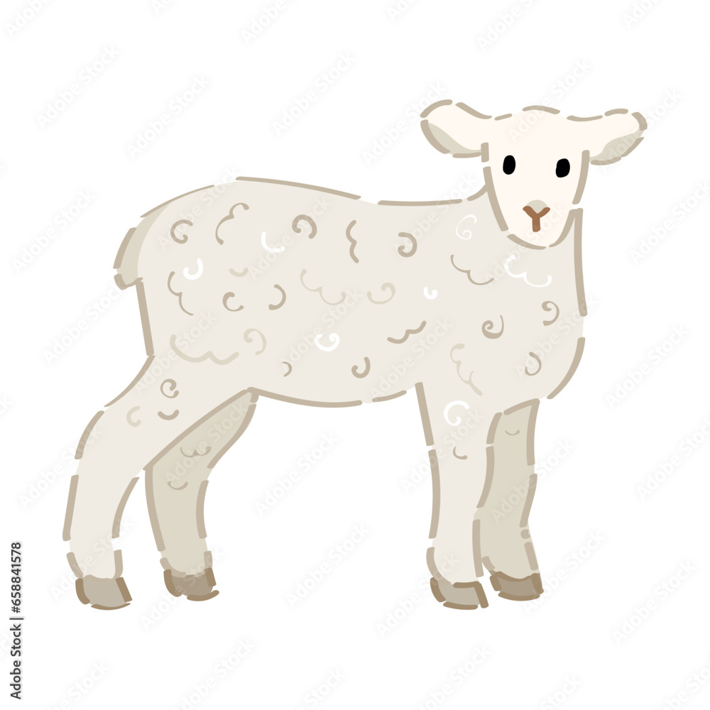 Cute lamb on white background