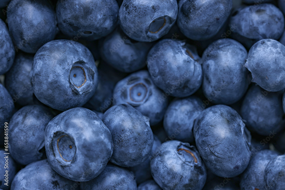 Fresh tasty blueberries as background, closeup view Fresh tasty blueberries as background, closeup view