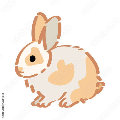 Cute fluffy rabbit on white...