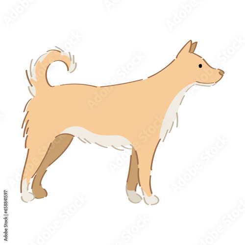Funny dog on white background