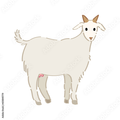 Cute goat on white background