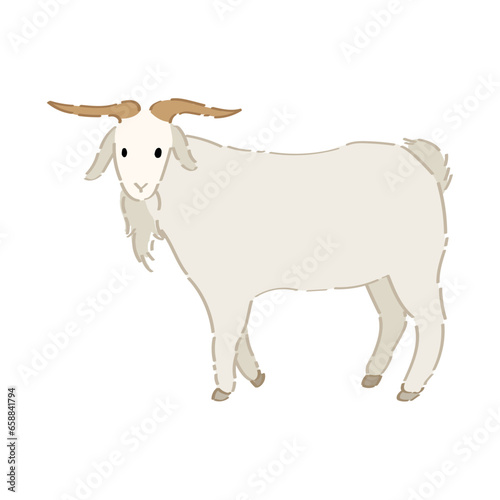 Cute goat on white background