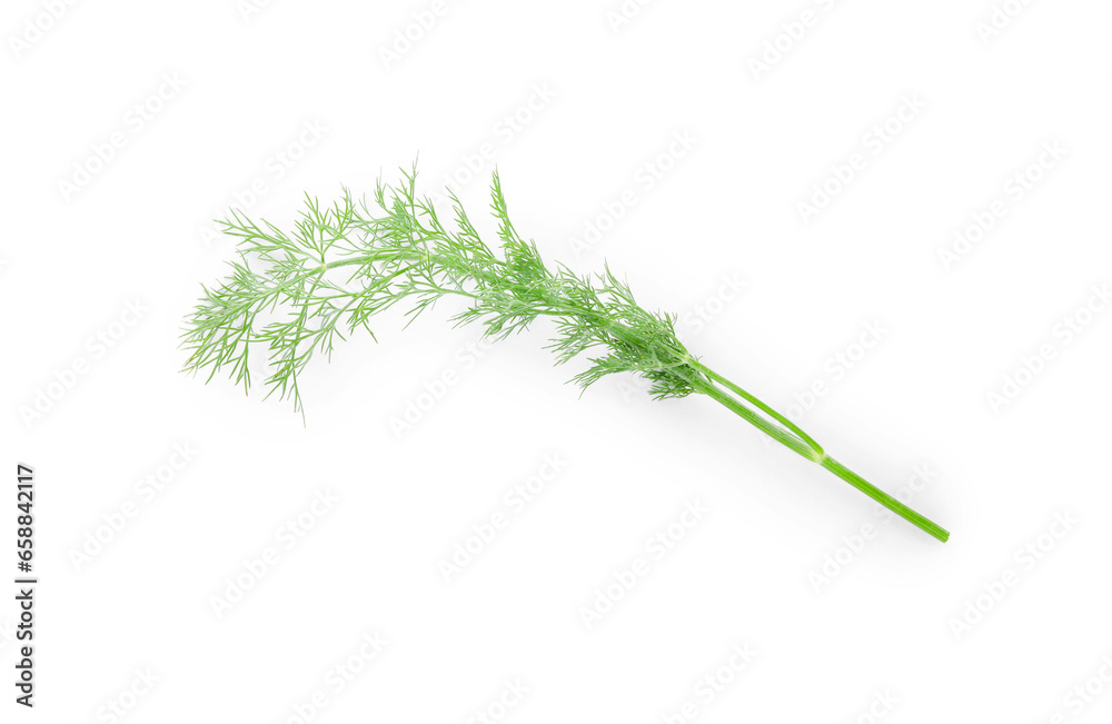 Fototapeta premium Sprig of fresh dill isolated on white, top view