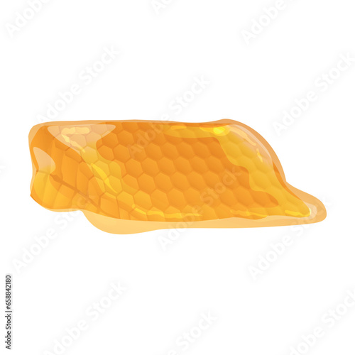 Sweet honey comb on white background