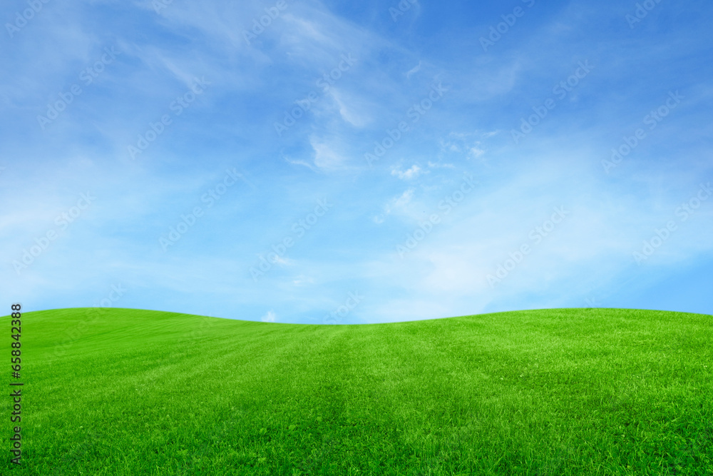 Lush green grass under bright blue sky with clouds