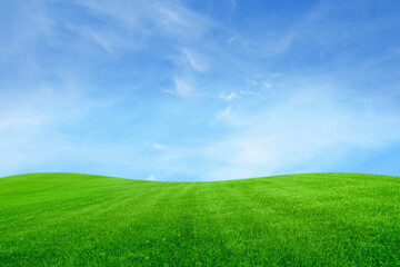 Lush green grass under bright blue sky with clouds