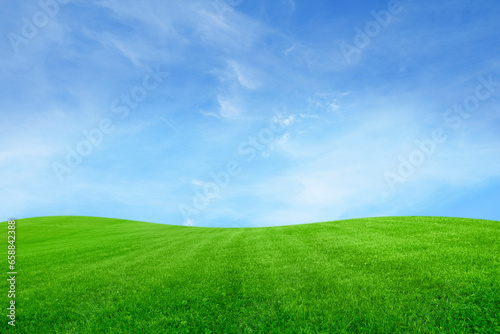 Lush green grass under bright blue sky with clouds