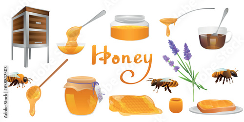 Collection of sweet honey with bees, lavender flowers, hive, comb and toast on white background