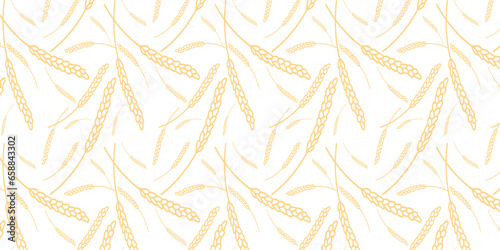 Many drawn wheat spiketels on white background. Pattern for design
