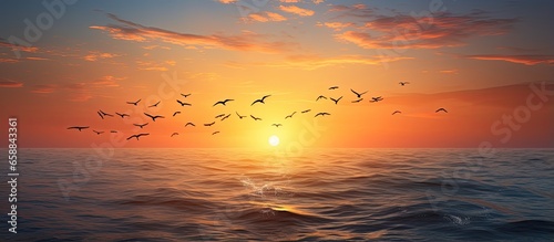 Morning sunrise and birds above the sea at dawn With copyspace for text © 2rogan