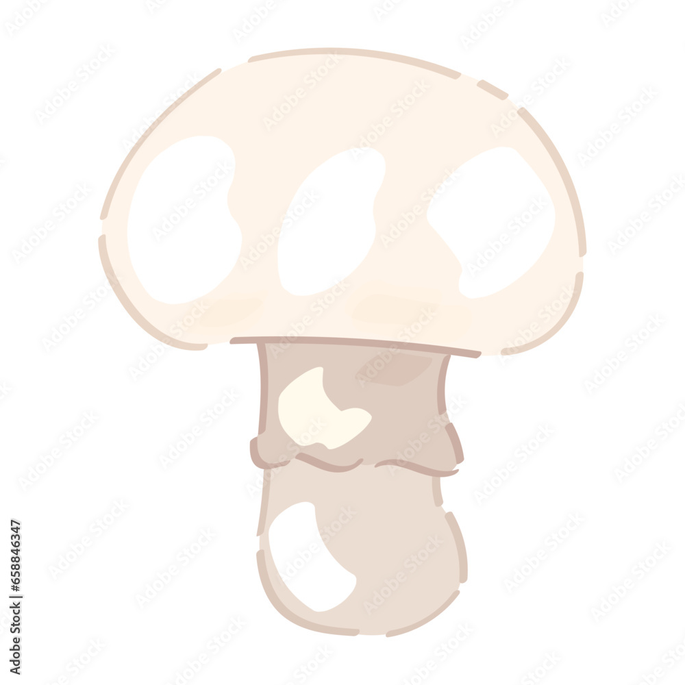 Ripe champignon on white background Ripe champignon on white background