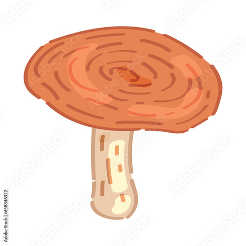 Russula mushroom on white background