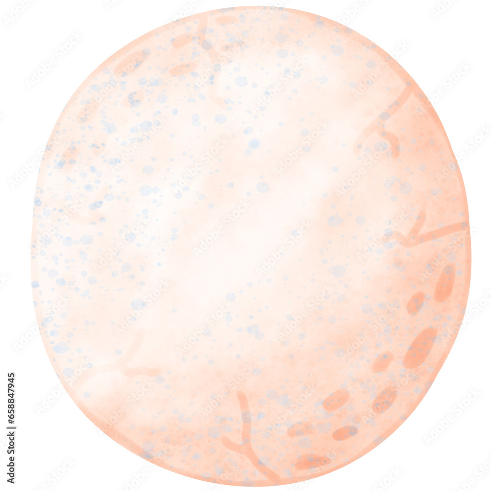 Dragon Egg, watercolor egg, Easter egg Dragon Egg, watercolor egg, Easter egg