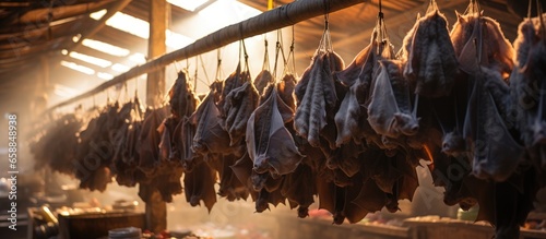 Fotografie, Obraz An Asian market where bats are sold as food alongside other animals like dogs an