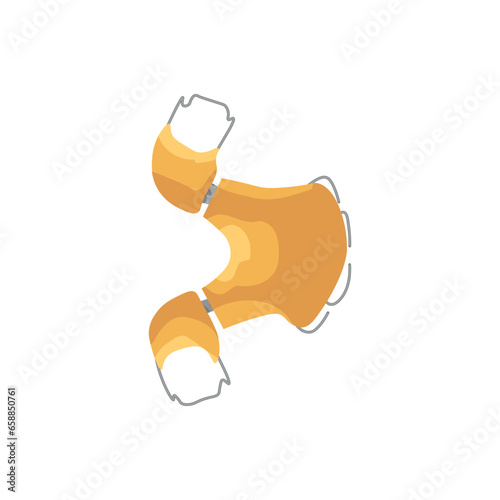 Denture teeth on white background