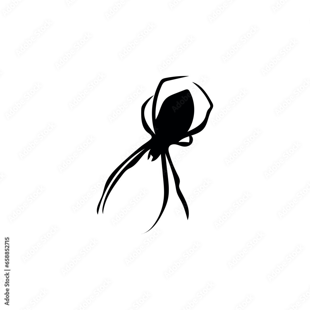 Scary spider on white background Scary spider on white background