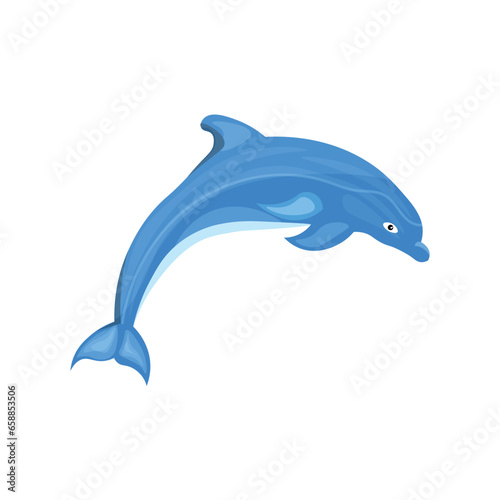 Sea dolphin on white background
