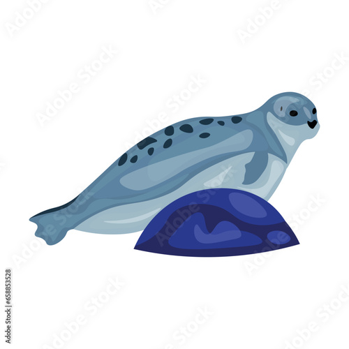 Cute seal on white background