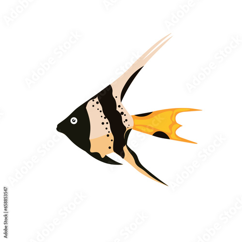 Beautiful fish on white bac...