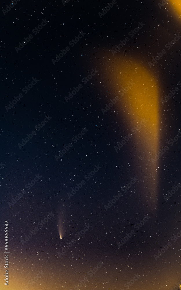 Obraz premium Neowise comet with Ursa Major