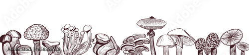 Set of different drawn mushrooms on white background