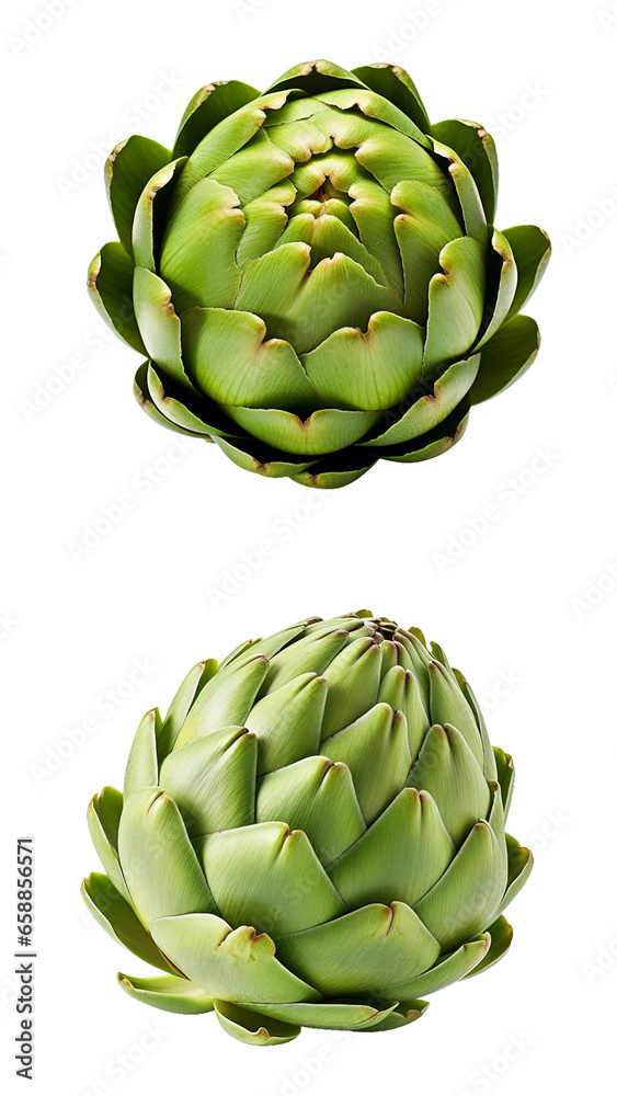 Fototapeta premium Artichoke, transparent background, isolated image, generative AI 