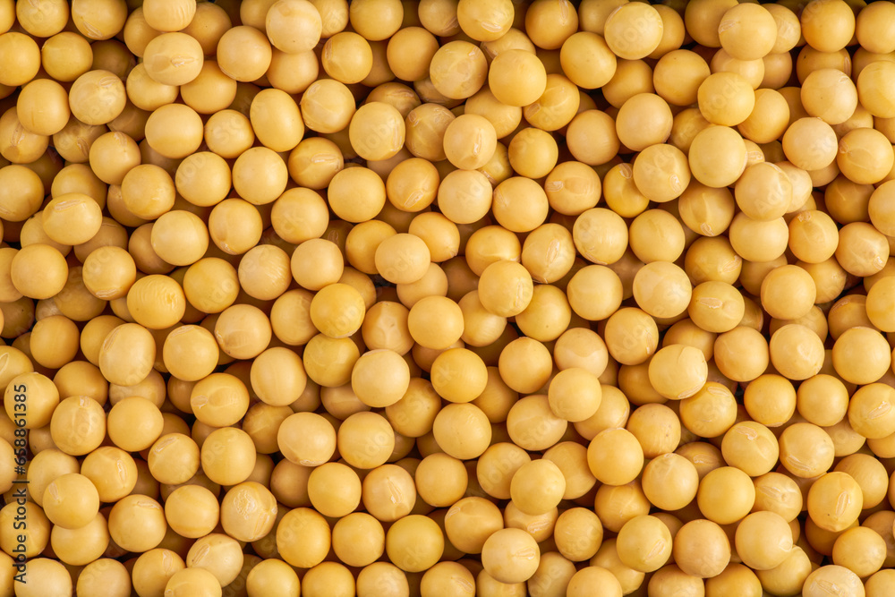 Full frame shot of Soybean