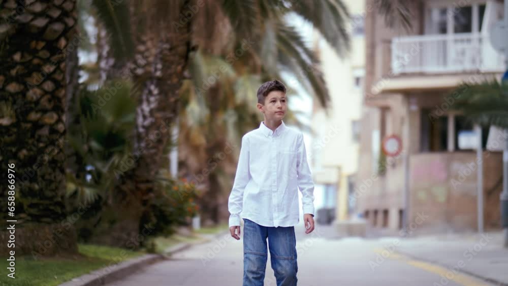 Braving the Storm: Boy in White Shirt Walking Among Palms on a Windy Day Braving the Storm: Boy in White Shirt Walking Among Palms on a Windy Day
