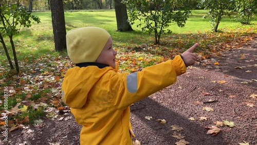 toddler child little boy in a yellow jacket walking playing in autumn park. Aleksandrovsky Park, Pushkin, St. Petersburg, Russia. photo