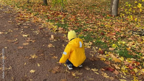 toddler child little boy in a yellow jacket walking playing in autumn park. Aleksandrovsky Park, Pushkin, St. Petersburg, Russia. photo