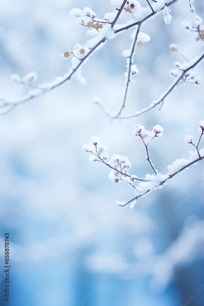 Winter scenery with tree branches covered in snow Winter scenery with tree branches covered in snow
