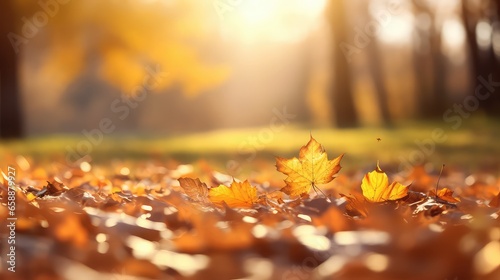 Beautiful bokeh autumn background  Abstract background of autumn leaves in the rays of sunlight in the autumn  close-up of a macro. A picturesque colorful artistic image with a soft focus.