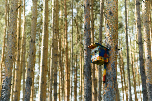 Beautiful view of a wooden birdhouse attached to a pine tree in a forest, with trees in the background and space for text. Concept of nature, landscape and environment. Multicoloured wooden birdhouse