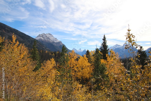 October On The Athabasca Pass, Jasper National Park, Alberta