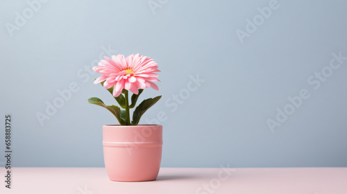 Pink flower in a mini pot and copy space.