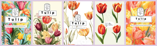Set of Elegant Tulip, Realistic Vector Illustrations of Flowers, Leaves, and Plants for Backgrounds, Patterns, and Wedding Invitations.
