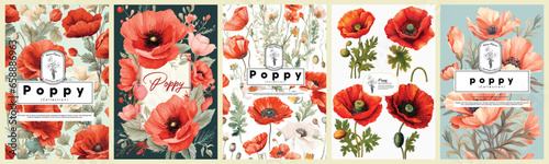 Set of Elegant poppy, Realistic Vector Illustrations of Flowers, Leaves, and Plants for Backgrounds, Patterns, and Wedding Invitations.