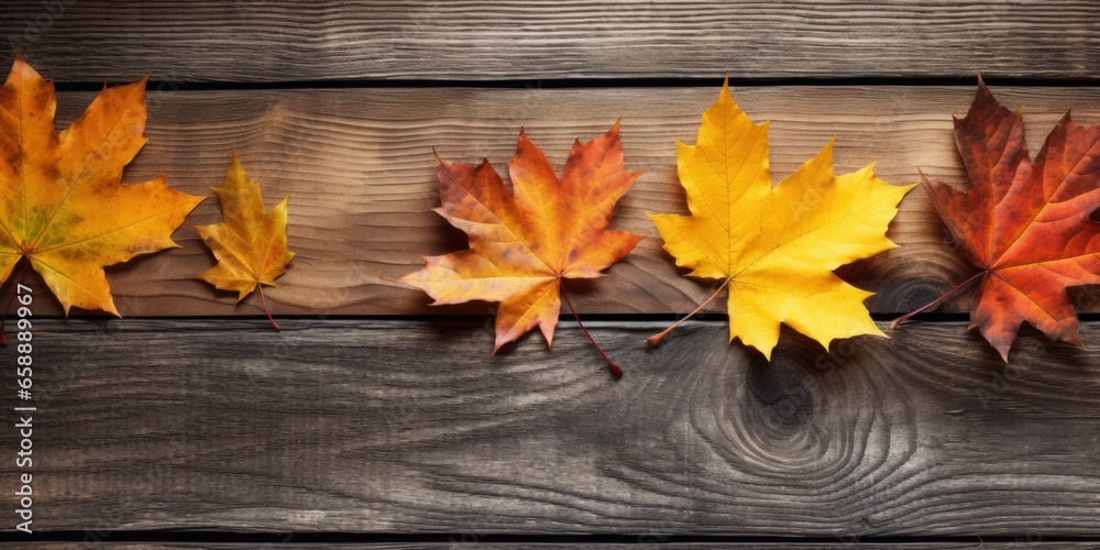 a group of yellow and orange leaves on a wood surface a group of yellow and orange leaves on a wood surface