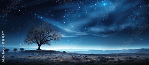 Astrological work Full Moon ascends with tree silhouettes and stars in the horizon With copyspace for text