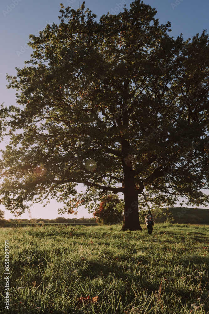 A boy having fun at the meadow, joy