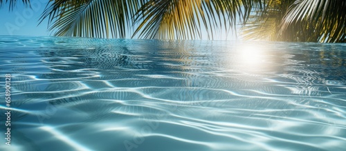Tropical tree silhouette in pool at noon with palm shadow on water surface With copyspace for text